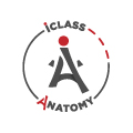 Iclass Anatomy
